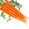 mini胡萝卜 水果胡萝卜 300g 新鲜蔬菜 绿色食品