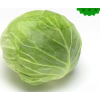 东北农家包菜新鲜蔬菜圆白菜大头卷心菜泡疙瘩白绿甘蓝4.5斤包邮